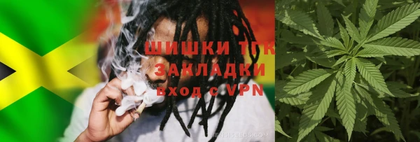 ALPHA PVP Остров
