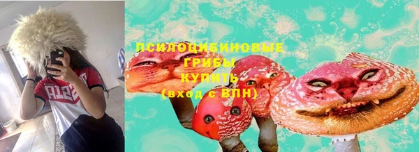 ALPHA PVP Остров