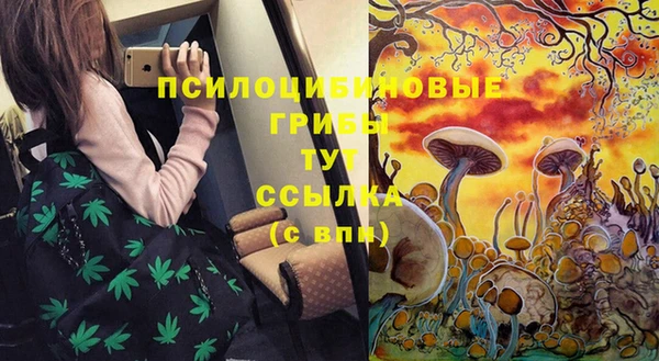 скорость Абаза