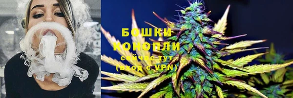 ALPHA PVP Остров